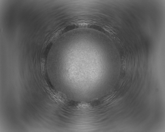 X0000053100283200507251639