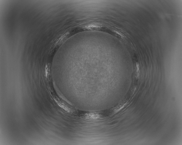 X0000053100284200507251639