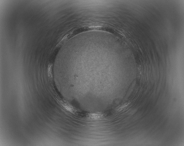 X0000053100286200507251639