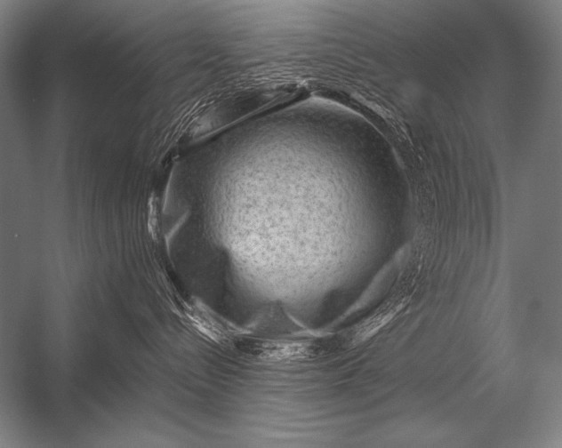 X0000053100288200507251639