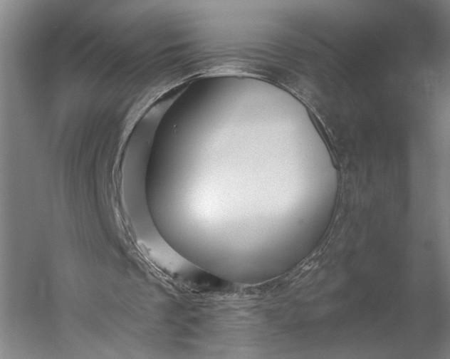 X0000053100289200507251638