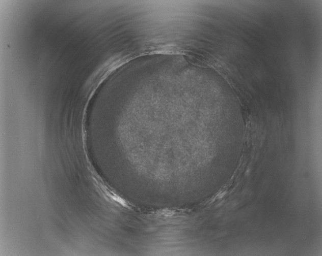 X0000053100290200507251638