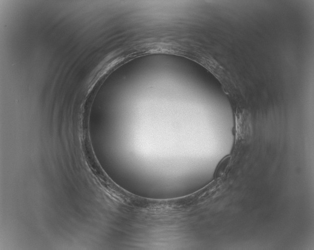 X0000053100291200507251638