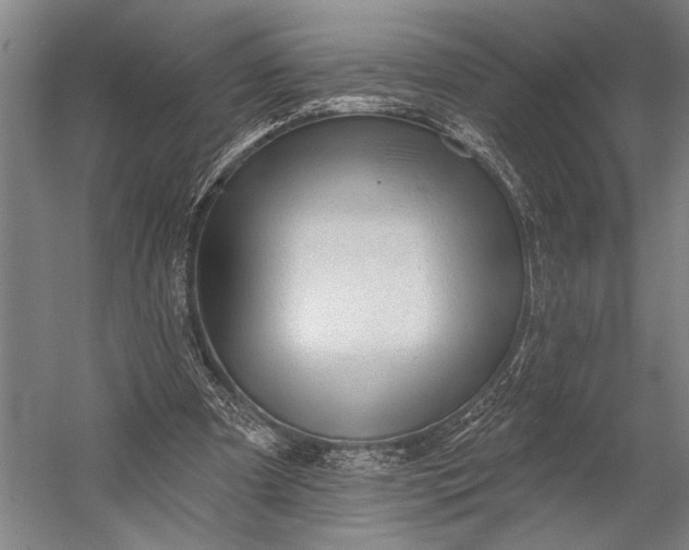 X0000053100297200507251638
