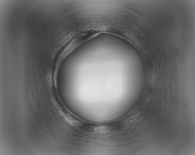 X0000053100309200507251638