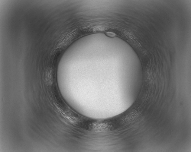 X0000053100311200507251638