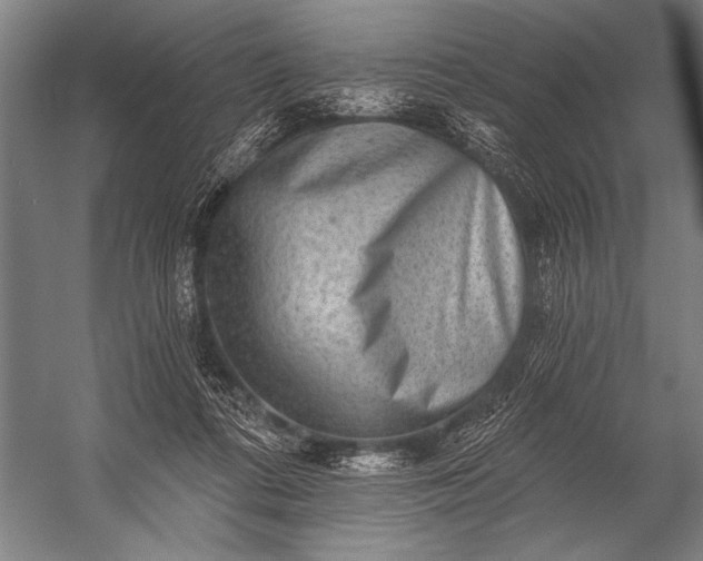 X0000053100312200507251638