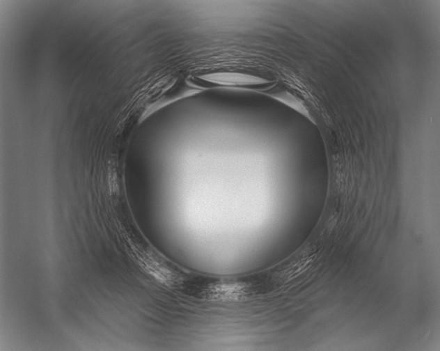 X0000053100313200507251638