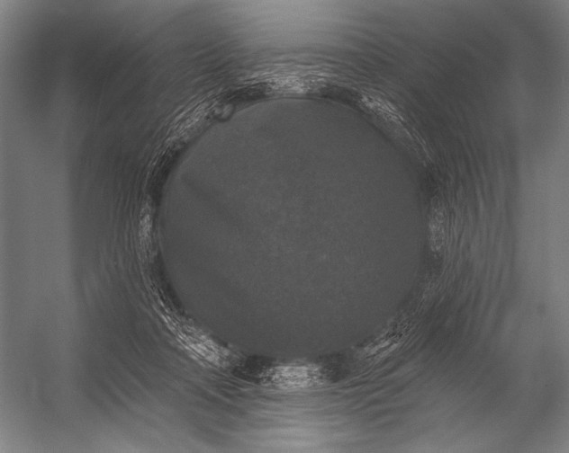 X0000053100314200507251638