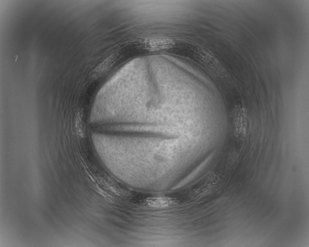 X0000053100316200507251637