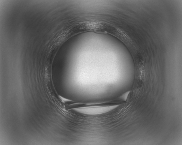 X0000053100317200507251637