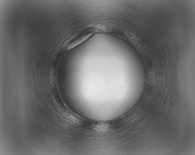 X0000053100318200507251637
