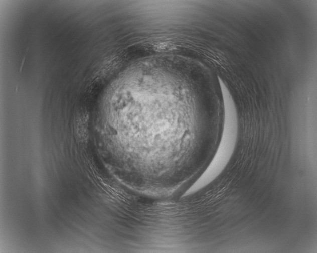X0000053100319200507251637