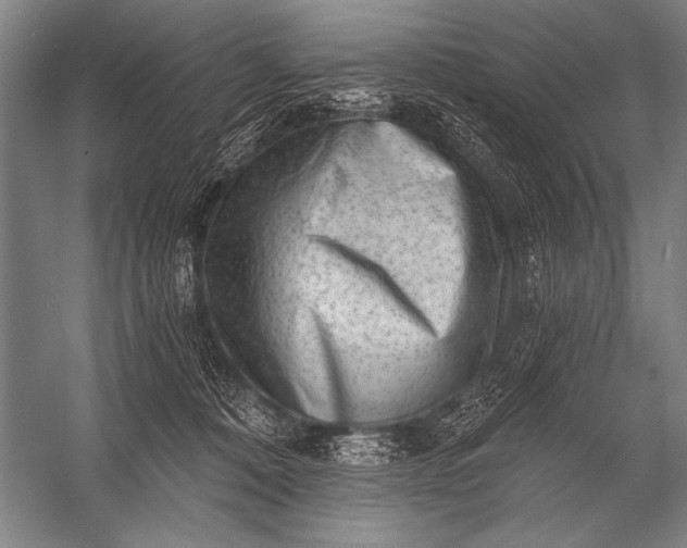 X0000053100320200507251637