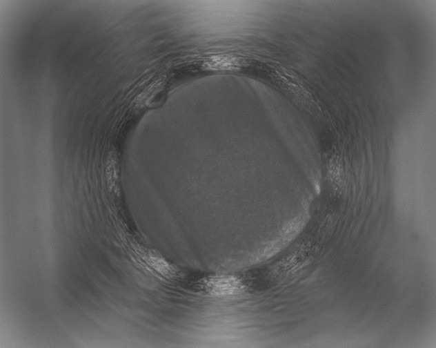 X0000053100322200507251637