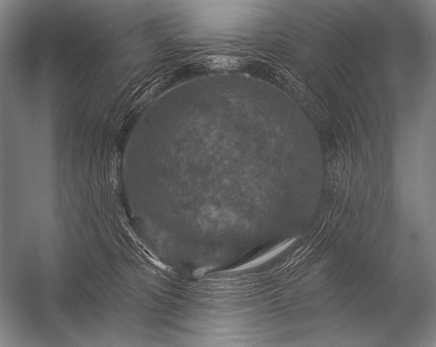 X0000053100325200507251637