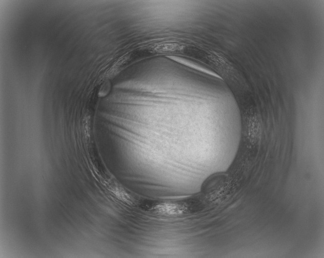 X0000053100326200507251637