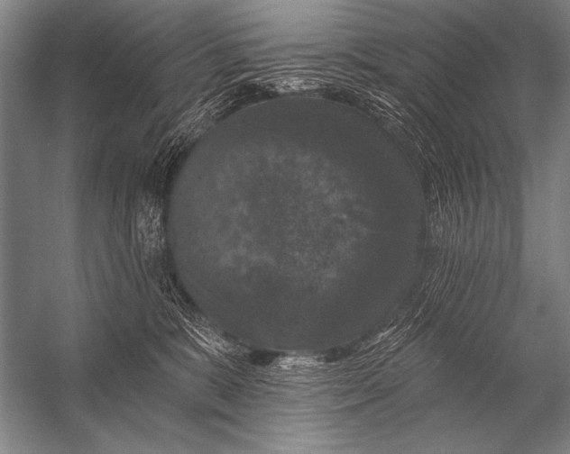X0000053100327200507251637