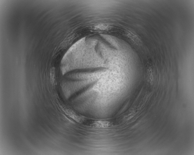 X0000053100328200507251637
