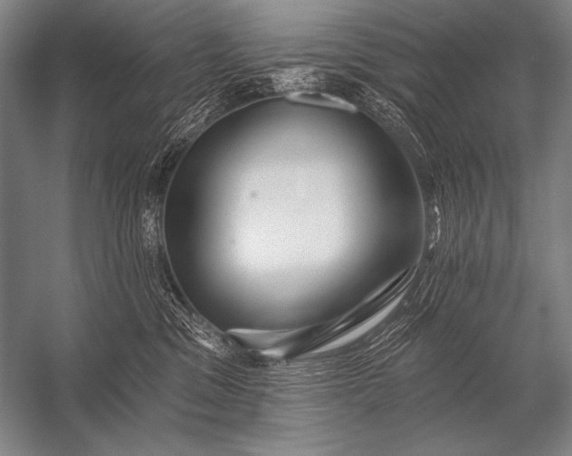 X0000053100329200507251637