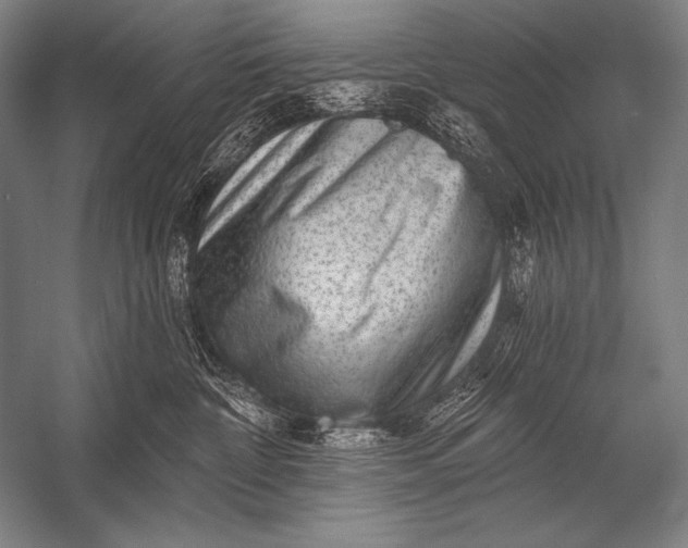 X0000053100332200507251637
