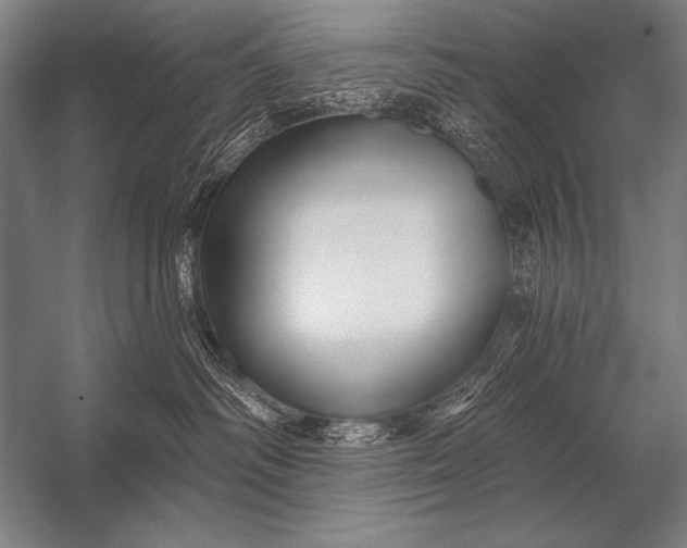 X0000053100334200507251637