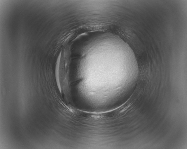 X0000053100335200507251637