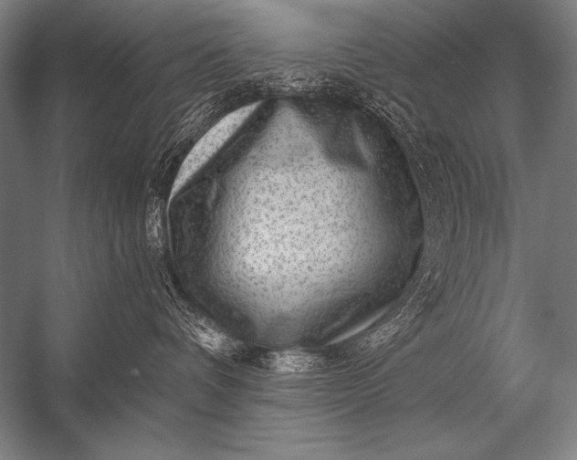 X0000053100336200507251637