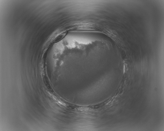 X0000053100339200507251636