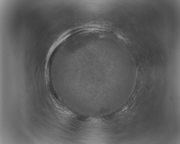 X0000053100343200507251636