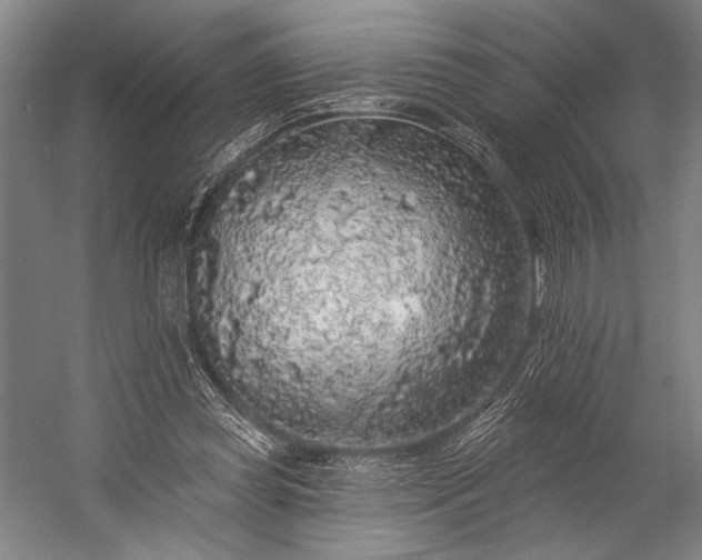 X0000053100349200507251637