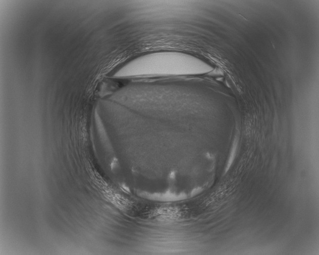 X0000053100353200507251637