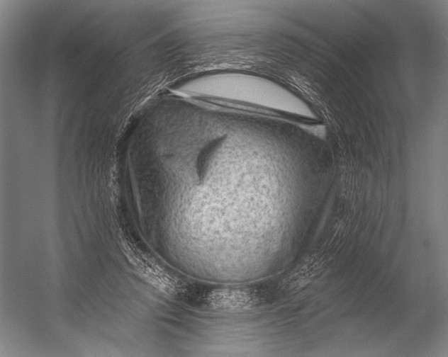 X0000053100354200507251637