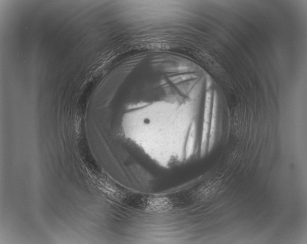 X0000053100355200507251637
