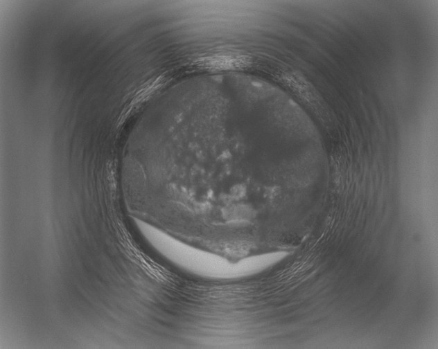 X0000053100357200507251637