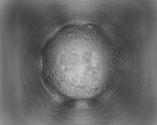 X0000053100358200507251637