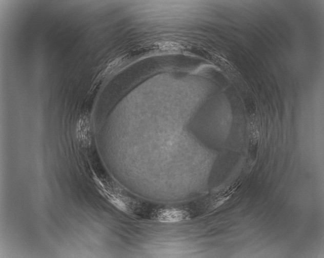 X0000053100360200507251637