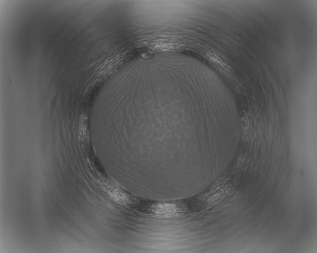 X0000053100361200507251637