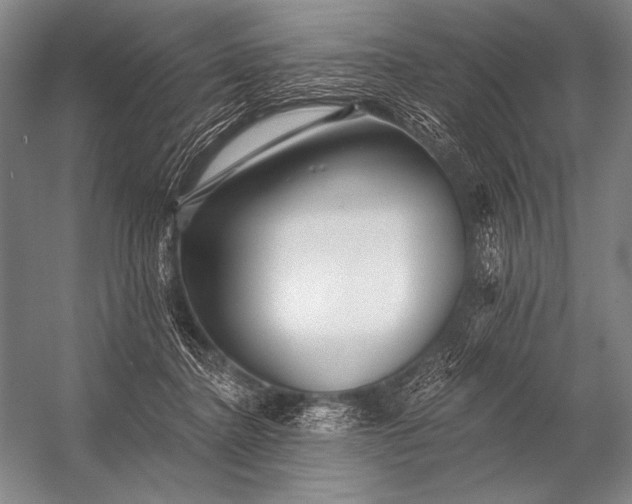 X0000053100364200507251637