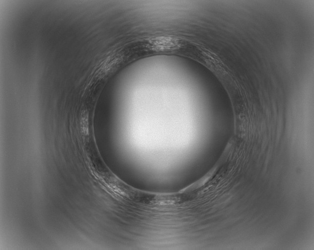X0000053100368200507251637