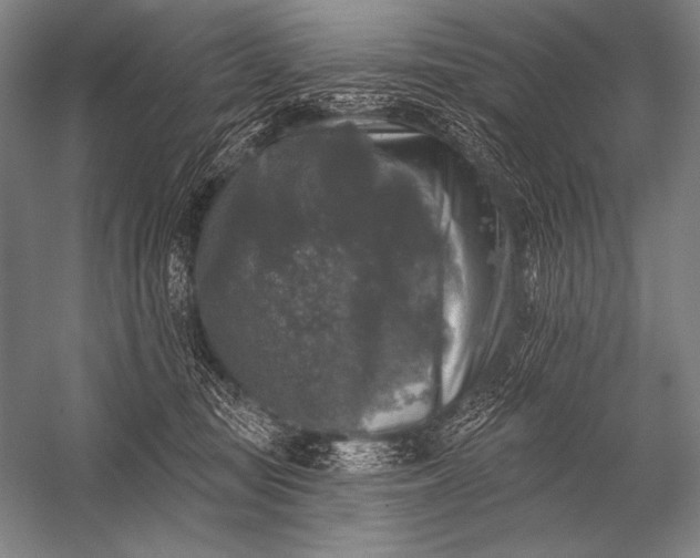 X0000053100371200507251637