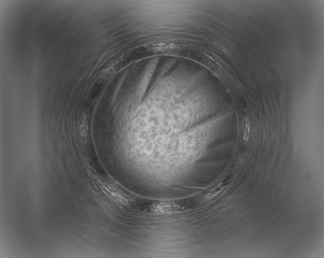 X0000053100372200507251637