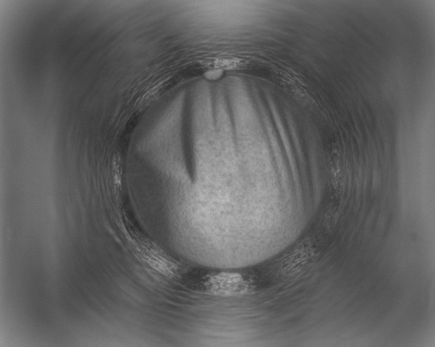 X0000053100374200507251637