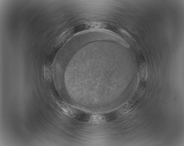 X0000053100376200507251637