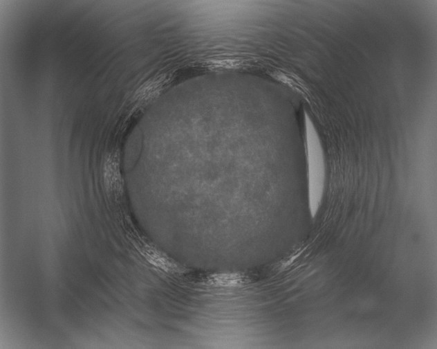 X0000053100377200507251637