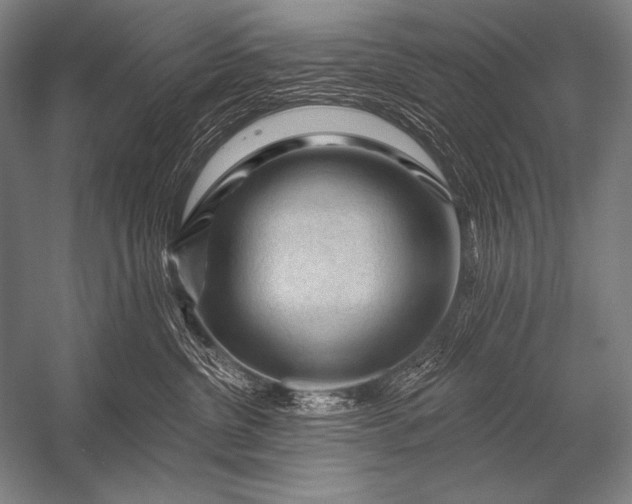 X0000053100380200507251637