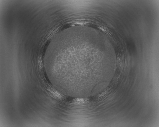 X0000053100381200507251637