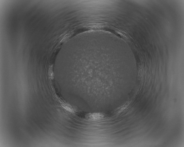 X0000053100383200507251637