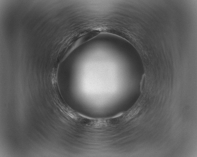 X0000053100384200507251637