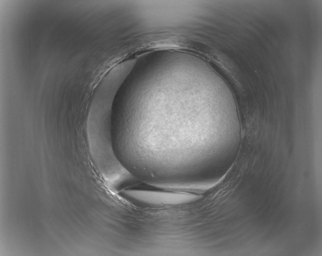 X0000053100385200507251636